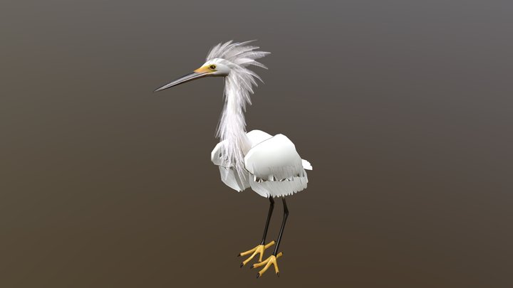 Egret – Free 3D Model STL