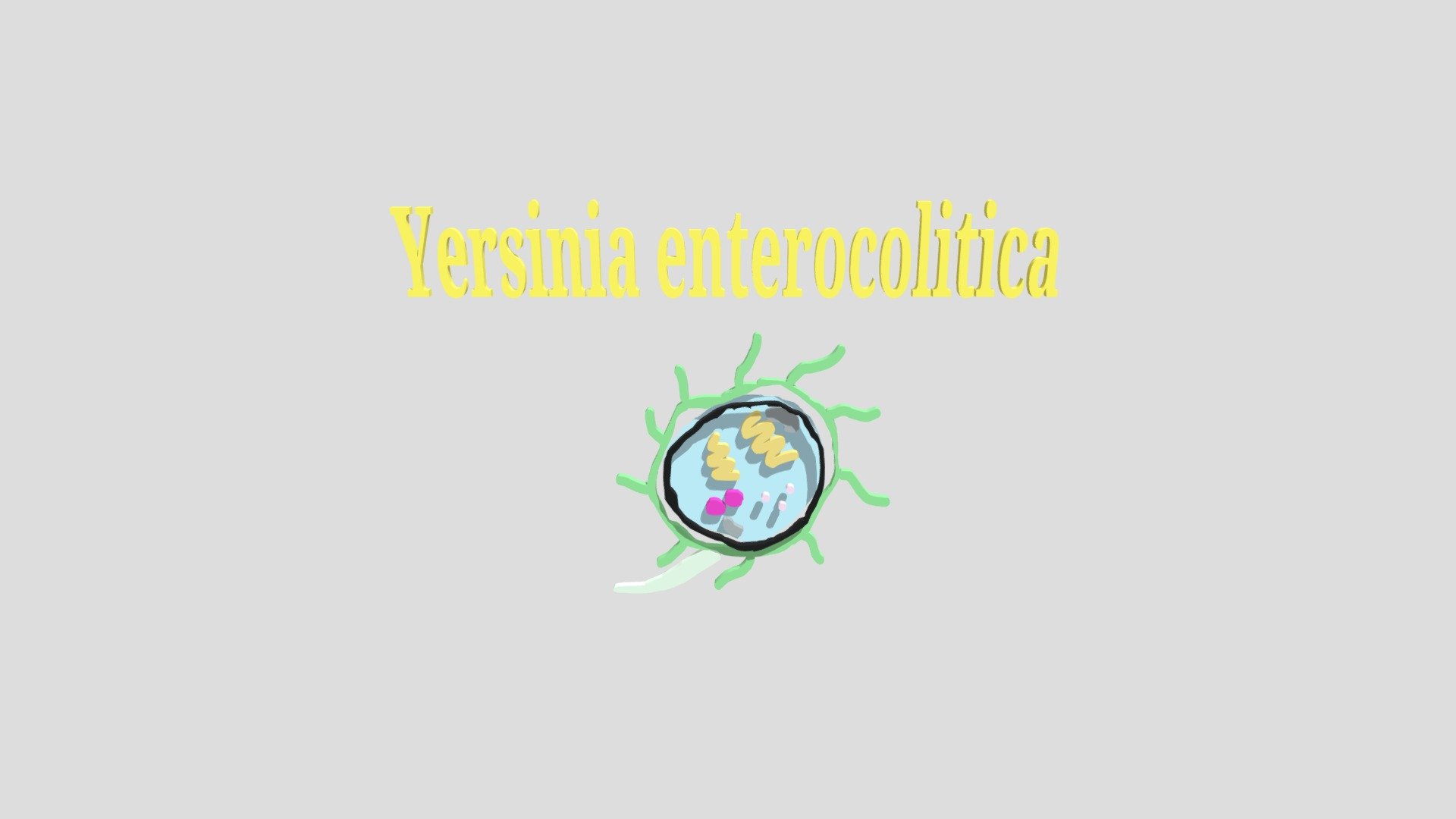 micro_yersiniaenterocolitica2_c