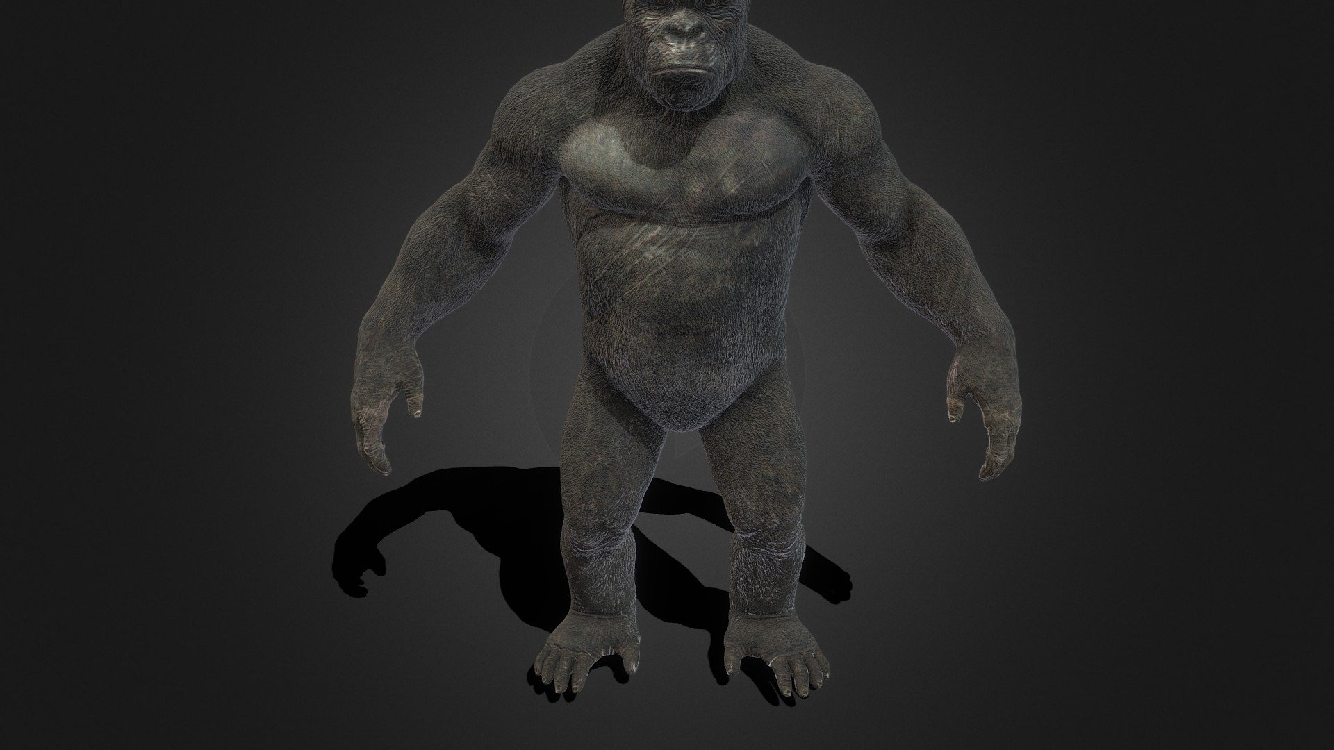 Kong_2021__ animated - Download Free 3D model by bensimulator2 