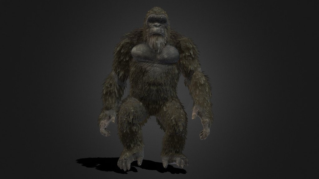 Kong_2021__ animated