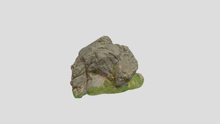 Rock Mounain Meadow Pbr Scan 02