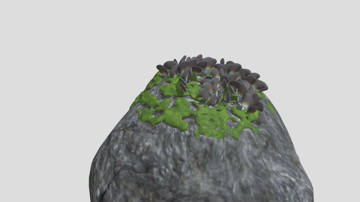 Algae covered rock w/mussels 3D Model