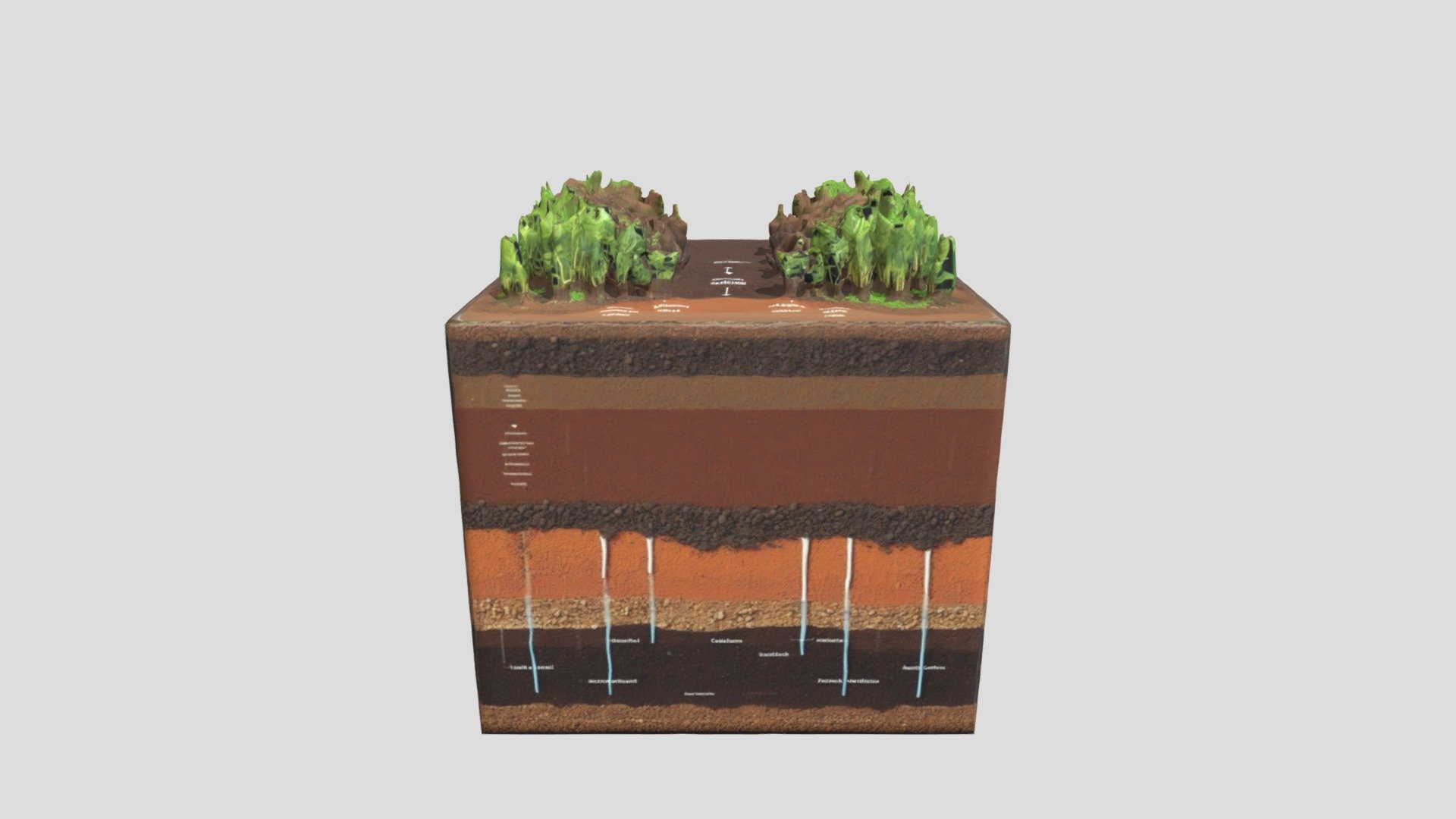 layers of soil - 3D model by sarahnitika (@sarahnitika141) [87c643b ...