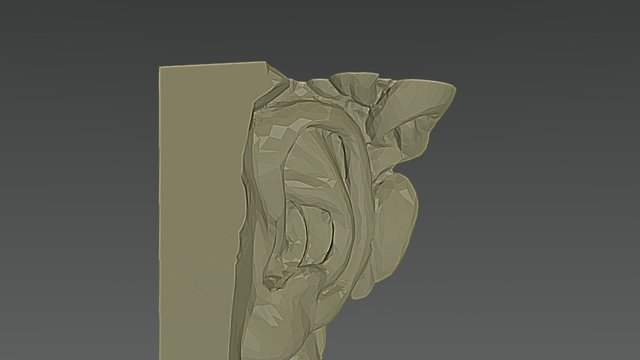 Ear 3D Model