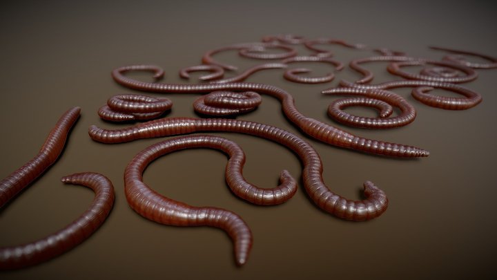 Earthworms Rigged PBR Low-poly 3D Model