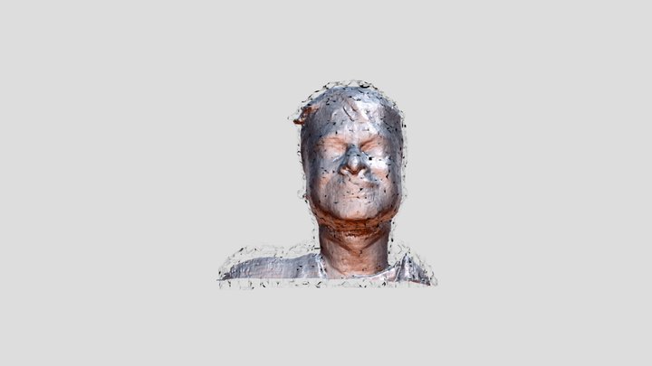 Straight_face_shell 3D Model