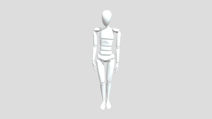 test Alexandre 3D Model