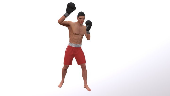 16 Отбив с небольшим шагом 3D Model