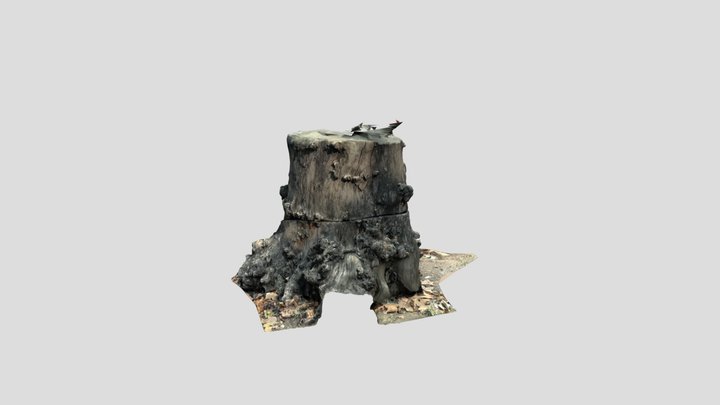 Pūṣan 3D Model