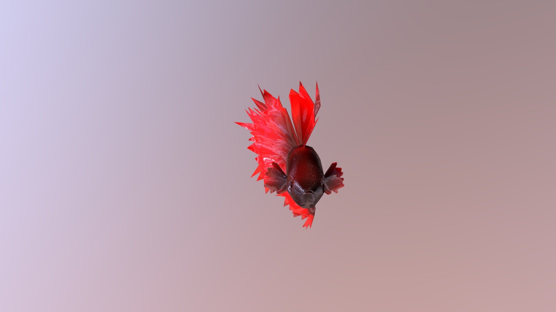 Betta-fish (lowpoly)