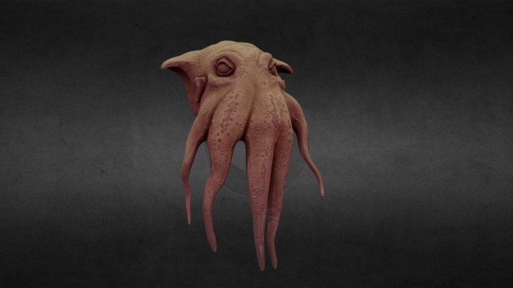Octopus Mangovity 3D Model