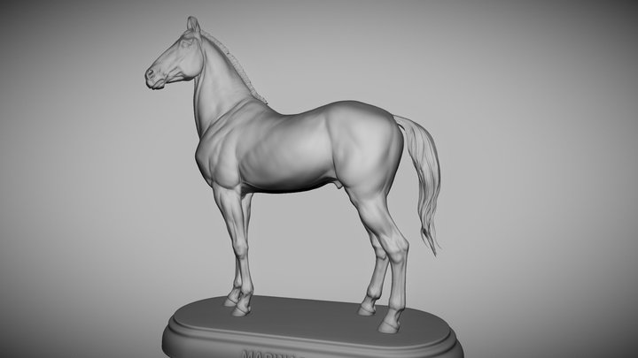 Horse Marwari 3D Model