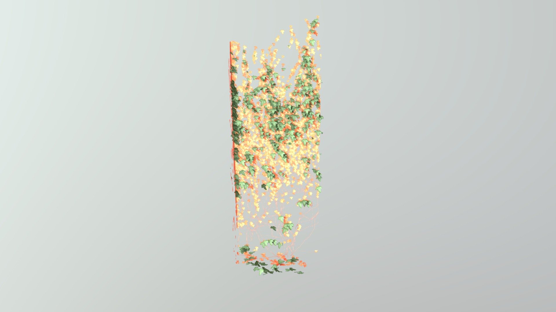 Ivy4_Plane
