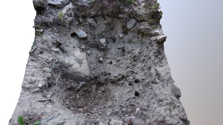 Inceptisol Soil Pit 3D Model