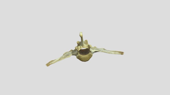 Mini_L5 3D Model