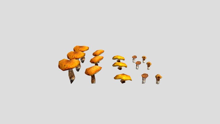 Mushroom Brown 2_0M_fbx 3D Model