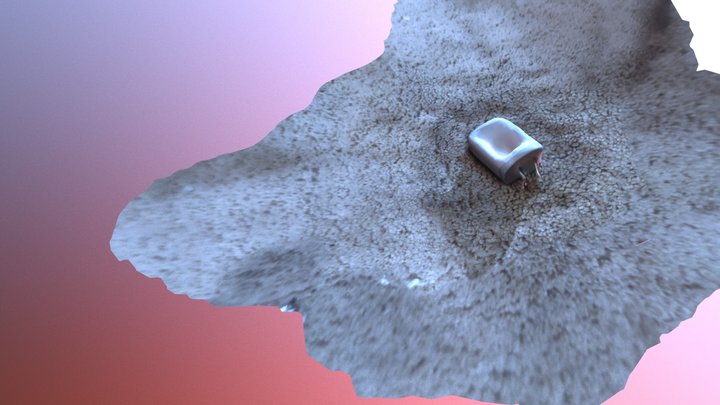 Swathi 3D Model