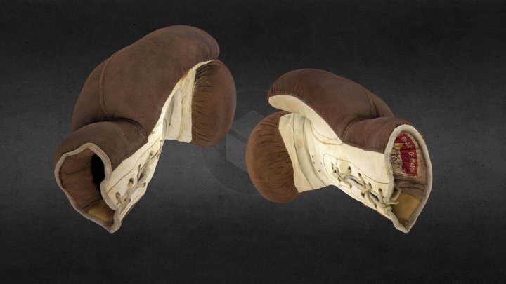 The Olympic Champion’s Boxing Gloves. 3D Model