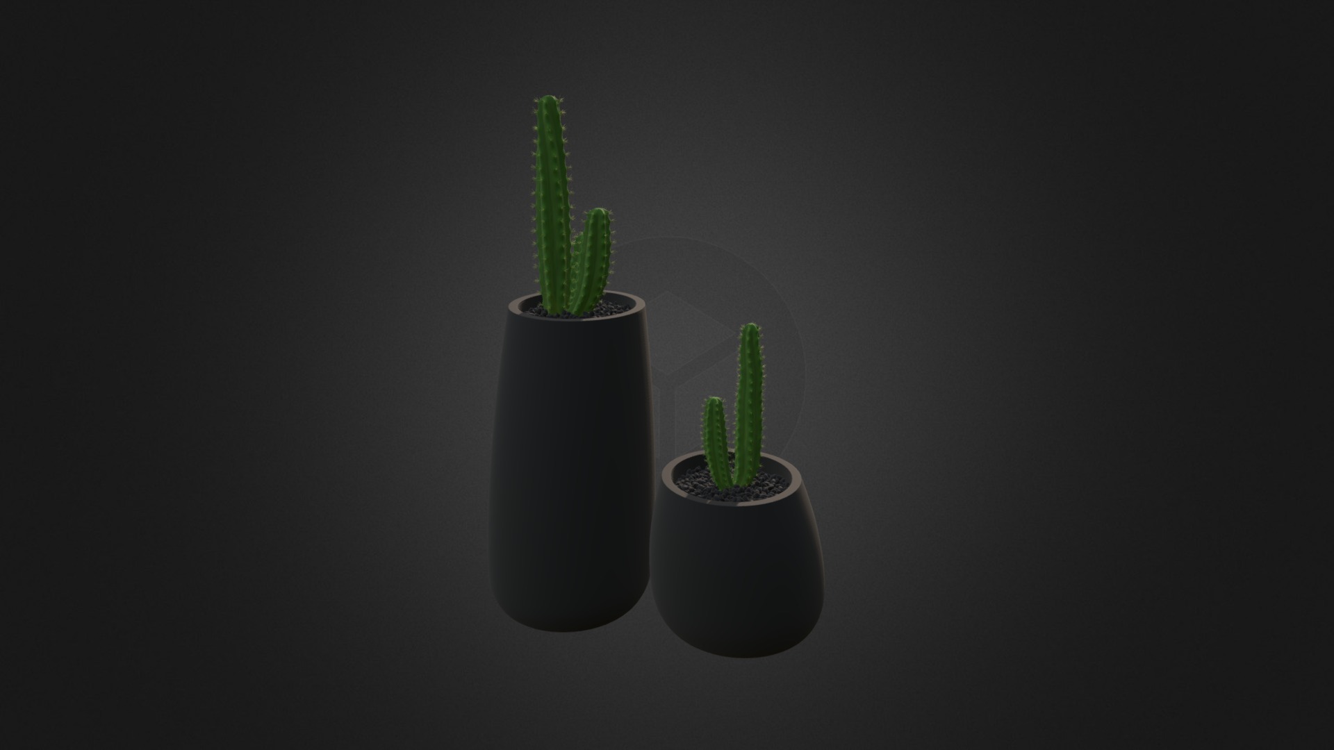3D model Two Cactuses in Black Pots - This is a 3D model of the Two Cactuses in Black Pots. The 3D model is about a few plants in pots.