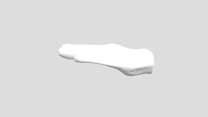 My first (and probably last) 3d Hand 3D Model