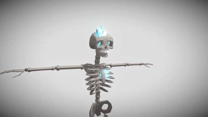 Skeleton 3D Model