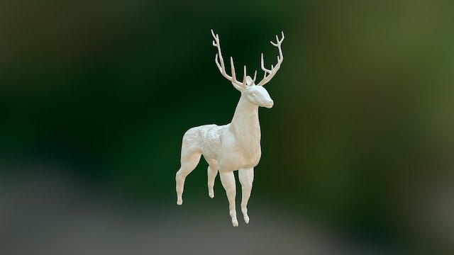 Олень Белый 3D Model