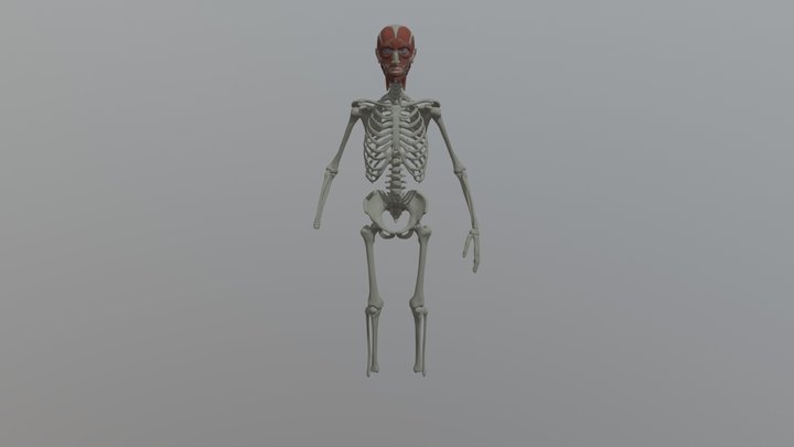 Human02 3D Model