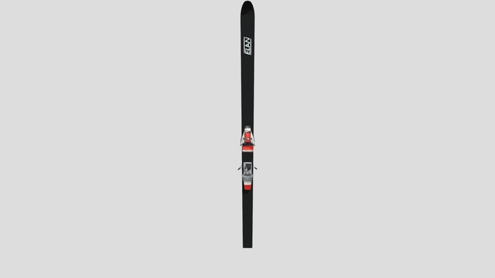 Skis 3D Model