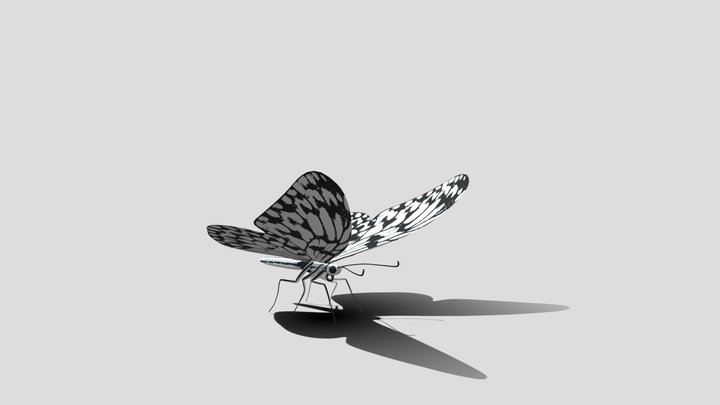 Butterfly – Free 3D Model STL