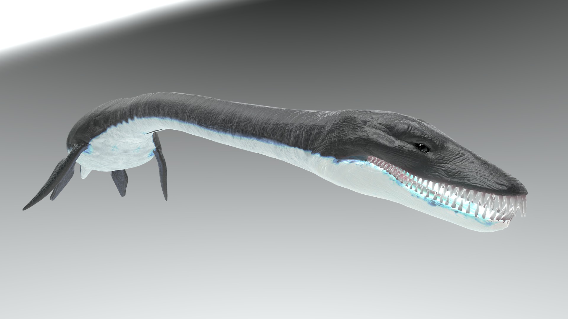 3D model Ocean Plesiosaur Pack - This is a 3D model of the Ocean Plesiosaur Pack. The 3D model is about a fish with a long tail.