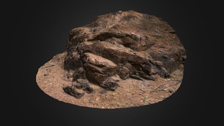 Ground Rock Formation 3D Model