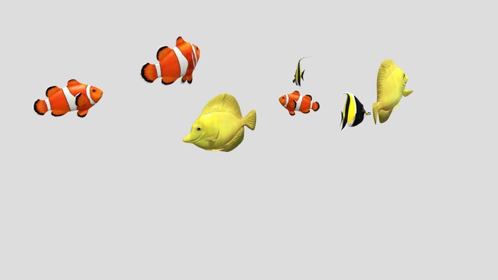 School Of Fish i am back guyssssssssssssssss 3D Model
