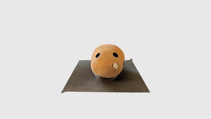 Azéri 3D Model