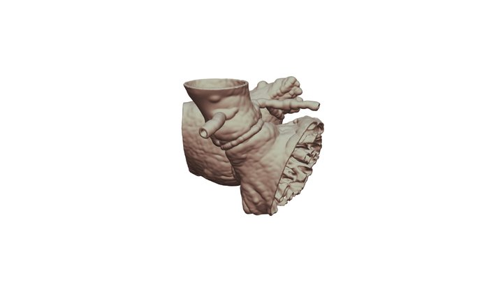 impressao6_1 3D Model