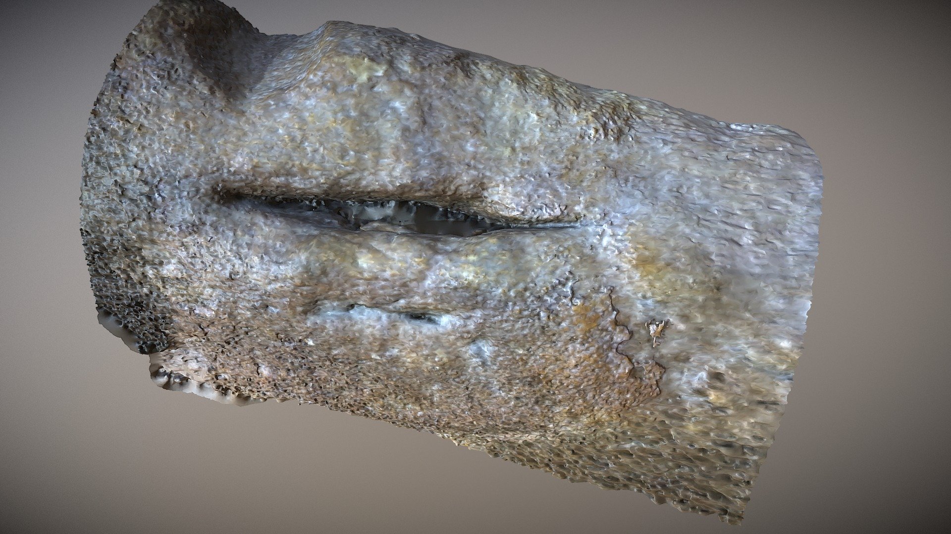 Mamuth skull injury