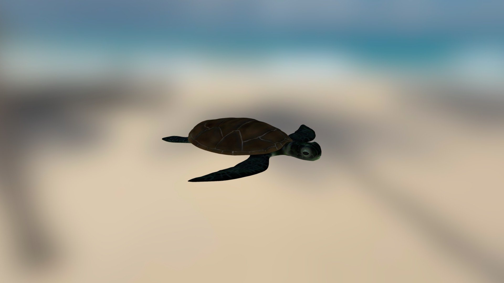 Sea Turtle Gamemodel