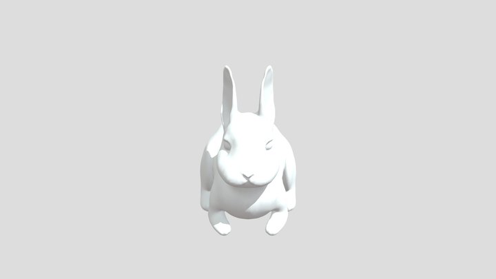 rabbit 3D Model