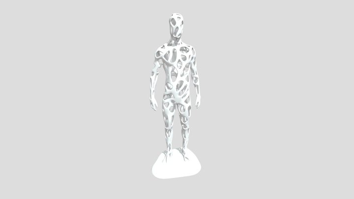 Mesh Human Model 3D Model