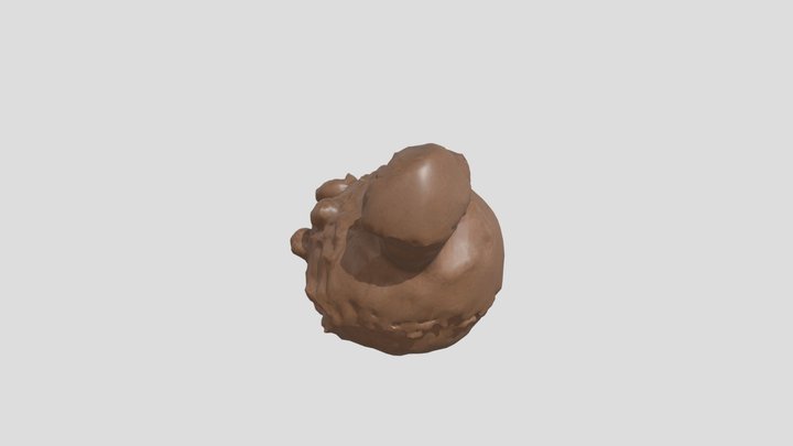 bear by Sofia – Free 3D Model STL