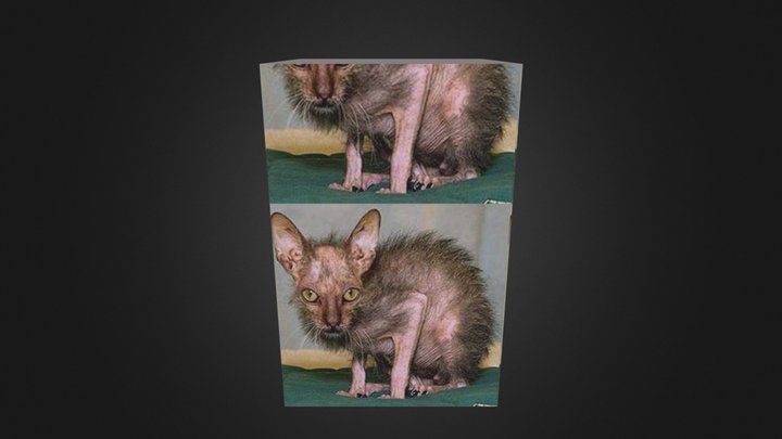 catbox 3D Model