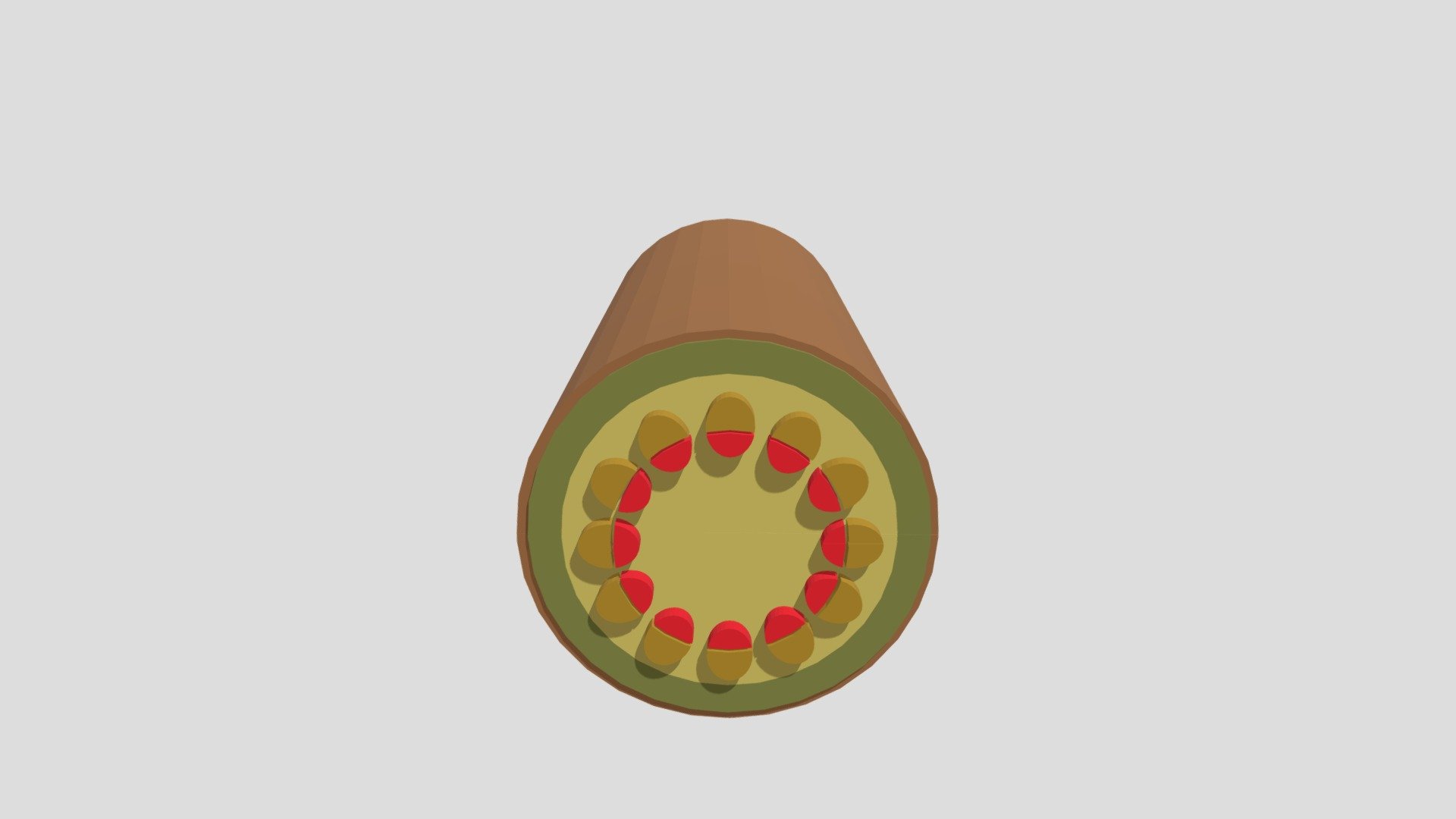Xylem Floem Di Batang8