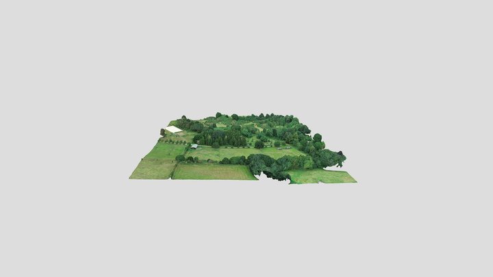 HORSTEAD 040921 PROCESSED Simplified 3d Mesh 3D Model