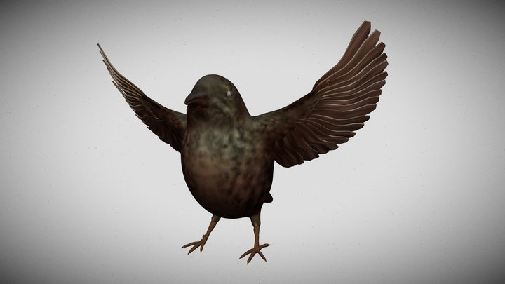 PrabhsimransSingh_Zoolearn_Assignment 3D Model