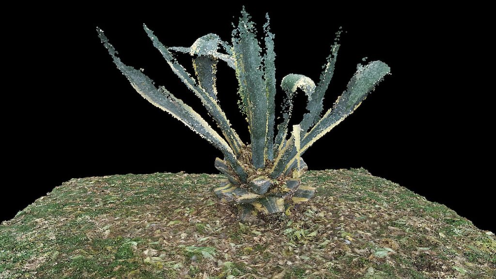 2017-05 - Santiago - Agabe01 Point Cloud