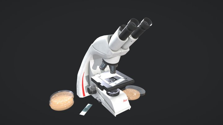 Leica DM500 Microscope 3D Model