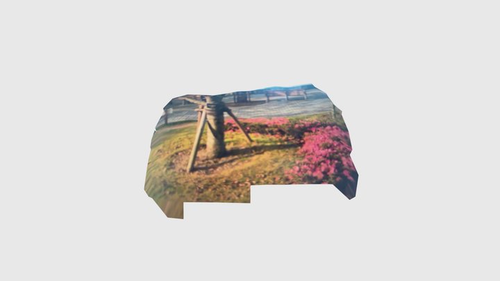 Tree 3D Model