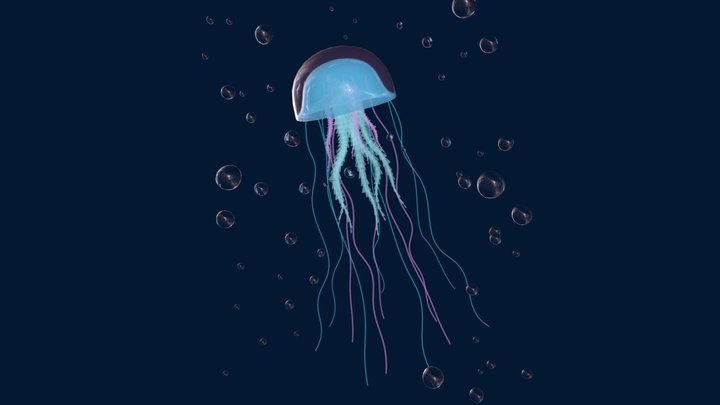 Jellyfish 3D Model