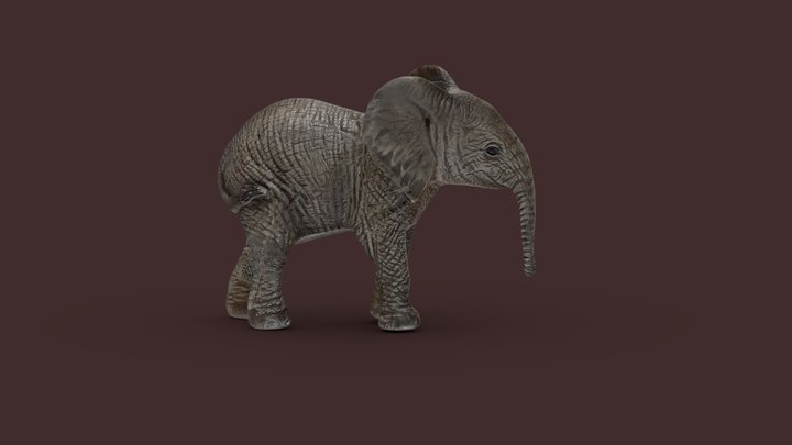 Elephant test 3D Model