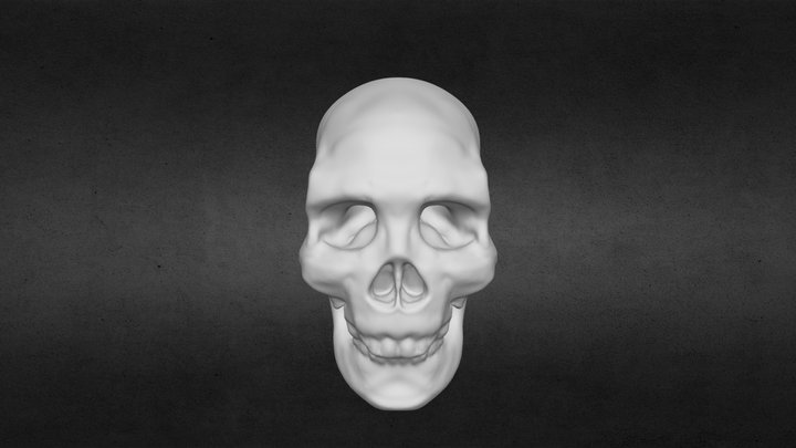 Skull WIP 3D Model