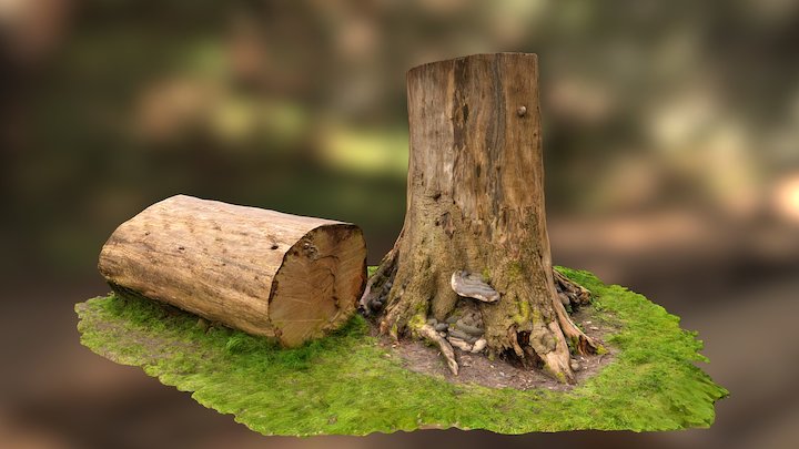 Tree Trunk - Very High – Modello 3D gratuito STL